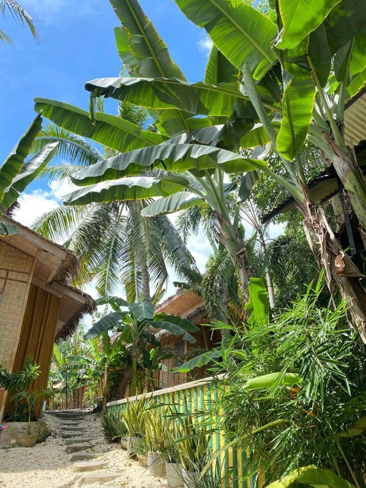 Ecostay Panglao Resort Hotel Eksteriør billede