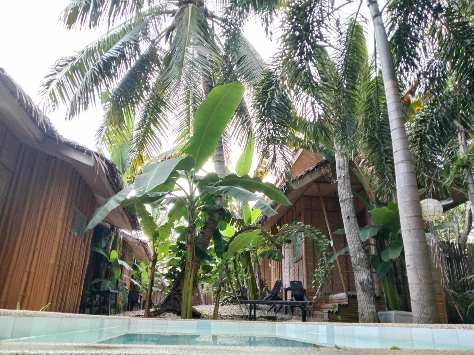 Ecostay Panglao Resort Hotel Eksteriør billede